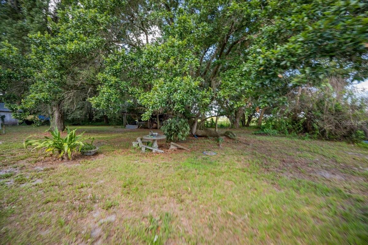 BANANA FARM ACRES - Residential
