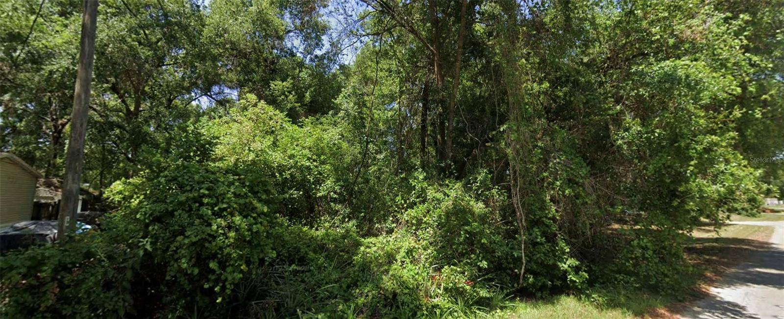Build your dream home on this 0.17-acre lot located in a peaceful Summerfield neighborhood, conveniently situated between The Villages and Ocala. Enjoy the quiet setting with easy access to US-441, nearby shopping, dining, and medical facilities. The area offers a blend of rural charm and suburban convenience, perfect for a primary residence or investment property.
All information is deemed reliable but should be independently verified.