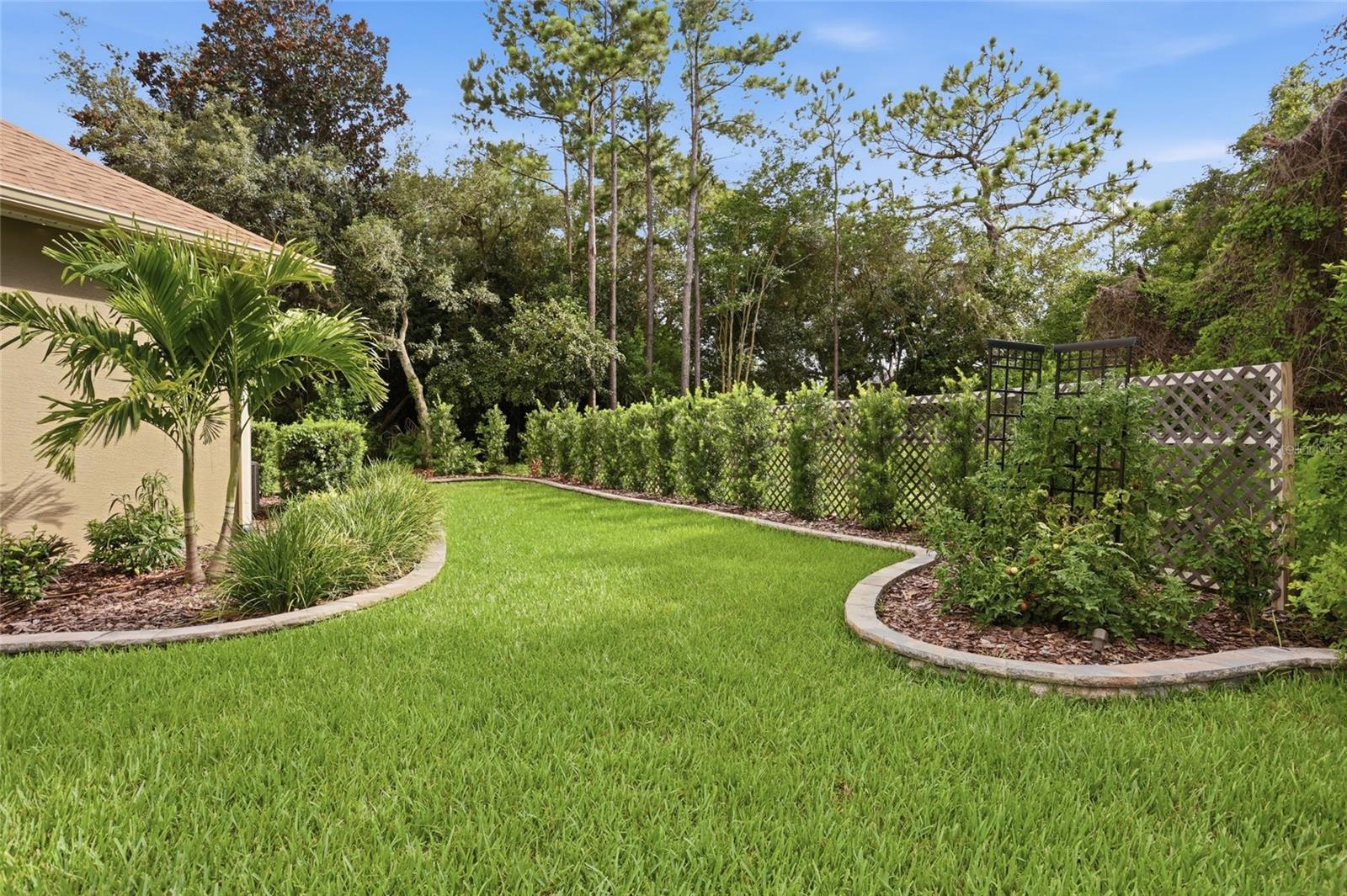 SEQUOYAH RIDGE - Residential