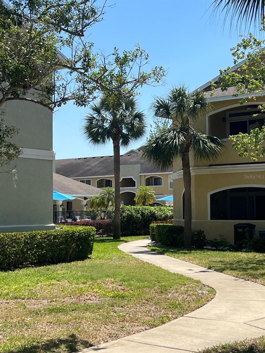 AVALON OF CLEARWATER THE CONDO - Residential