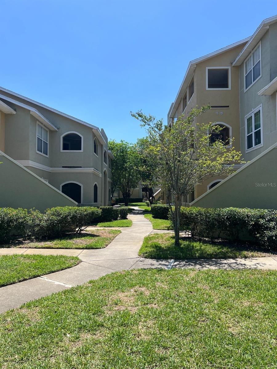 AVALON OF CLEARWATER THE CONDO - Residential