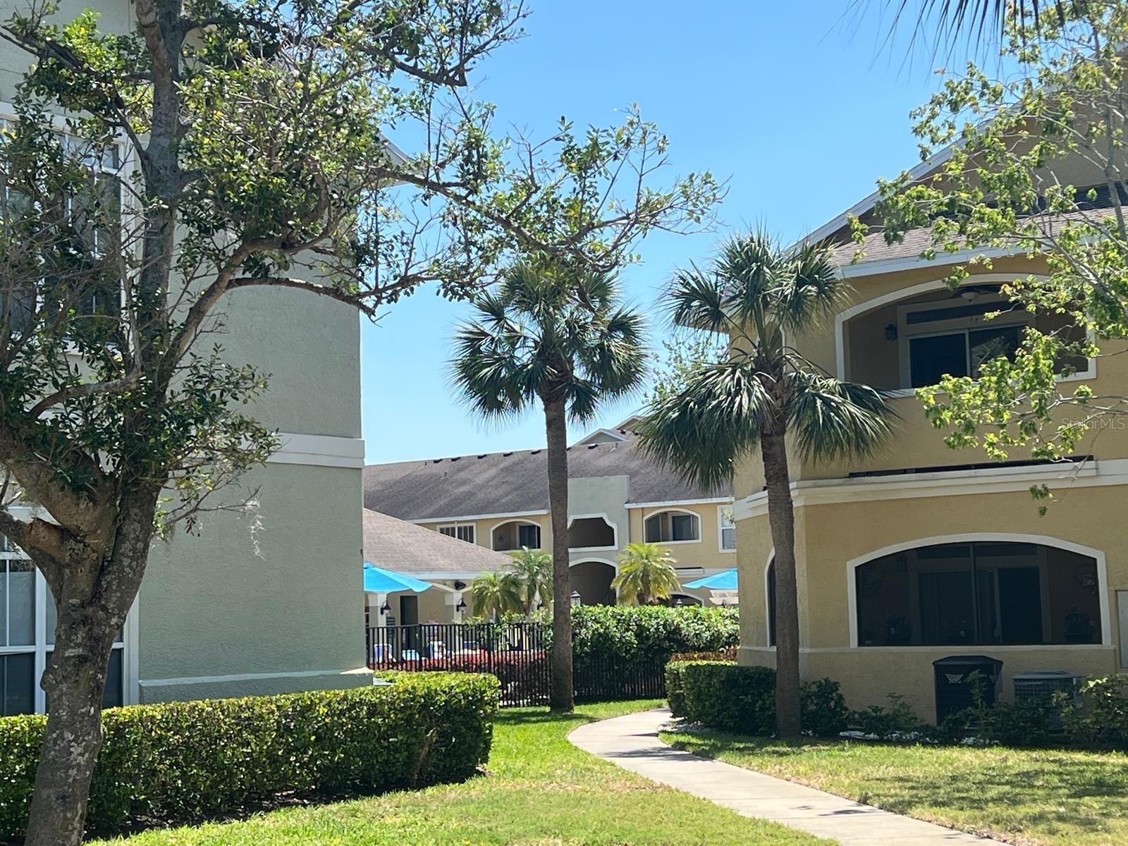AVALON OF CLEARWATER THE CONDO - Residential