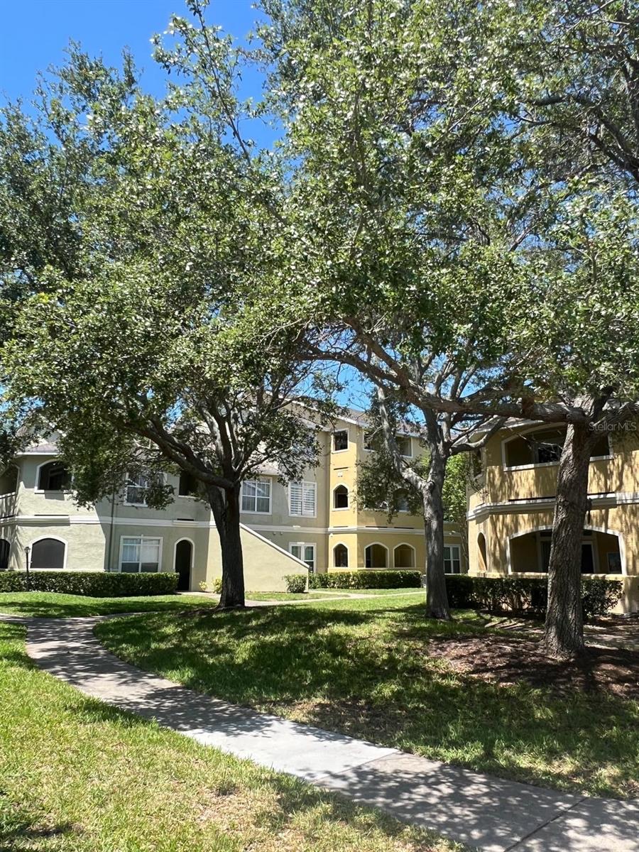 AVALON OF CLEARWATER THE CONDO - Residential