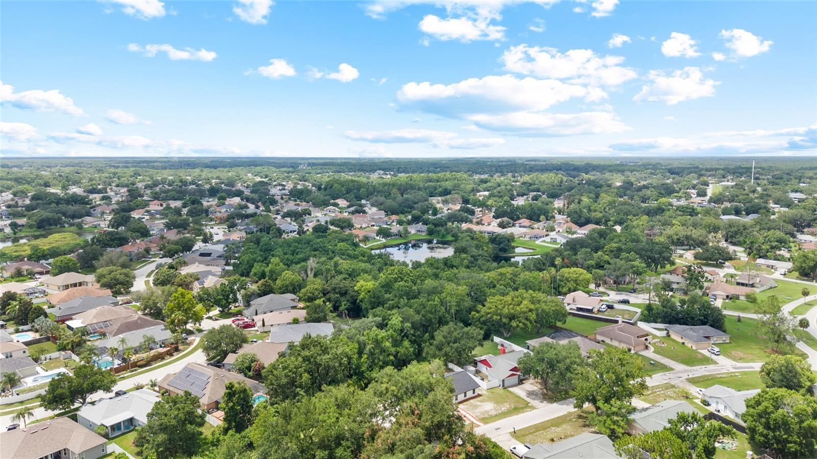 LAKE PADGETT ESTATES - Residential
