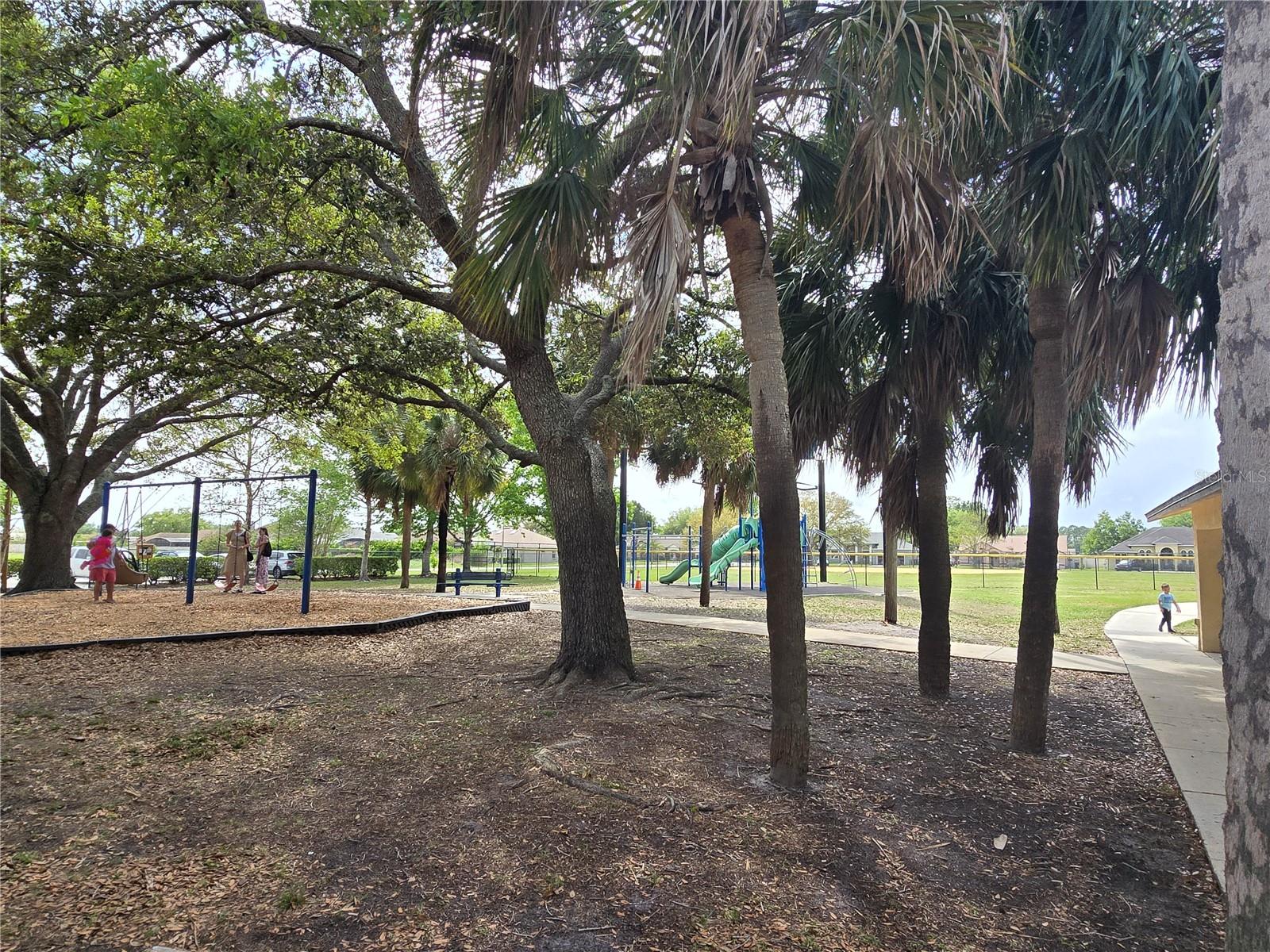 WEDGEFIELD / CAPE ORLANDO ESTATES - Residential