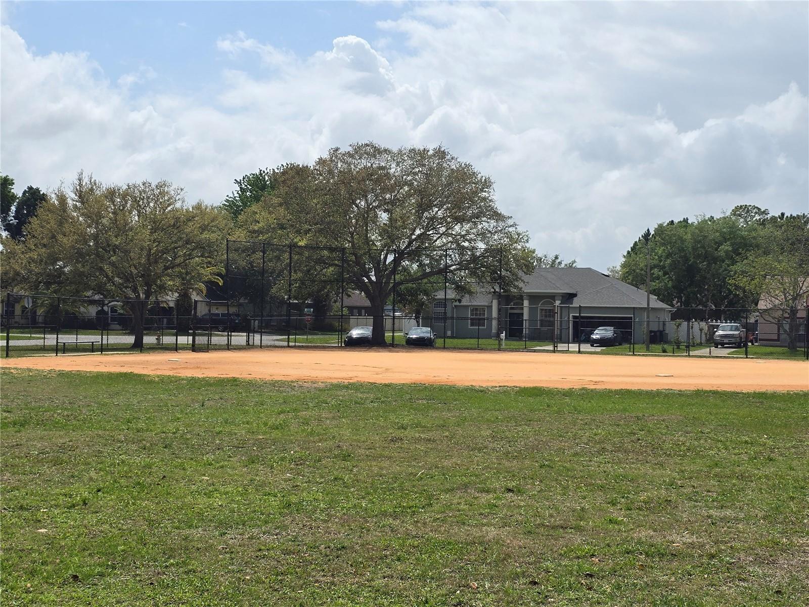 WEDGEFIELD / CAPE ORLANDO ESTATES - Residential