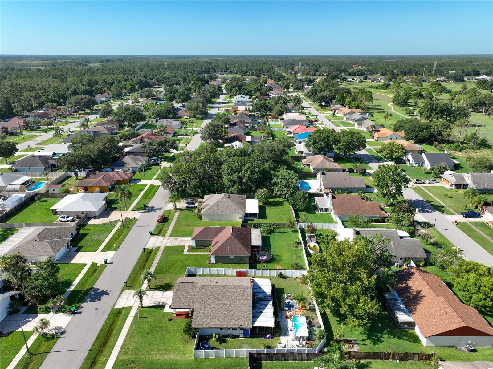WEDGEFIELD / CAPE ORLANDO ESTATES - Residential