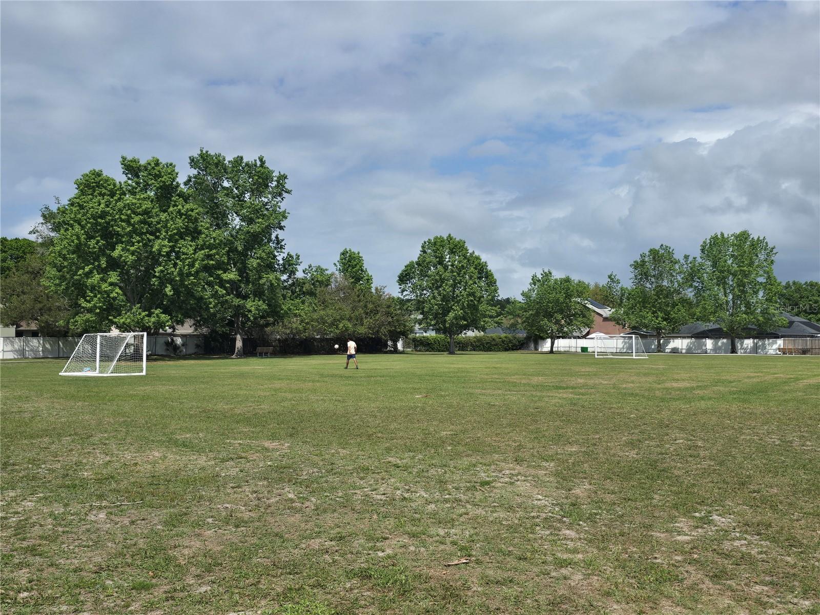 WEDGEFIELD / CAPE ORLANDO ESTATES - Residential