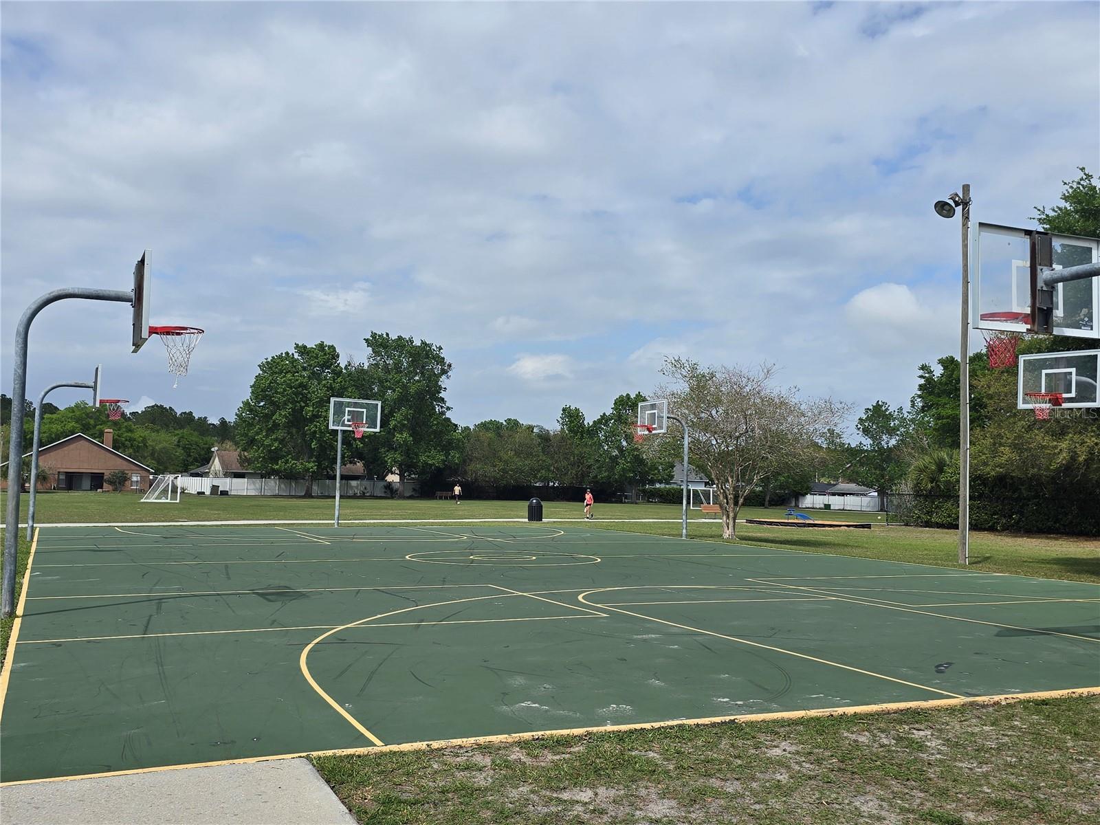 WEDGEFIELD / CAPE ORLANDO ESTATES - Residential