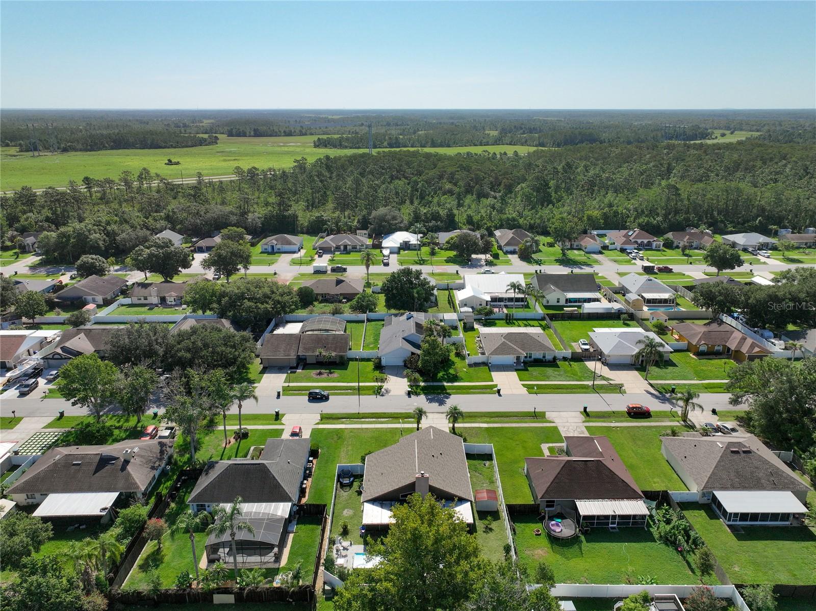 WEDGEFIELD / CAPE ORLANDO ESTATES - Residential