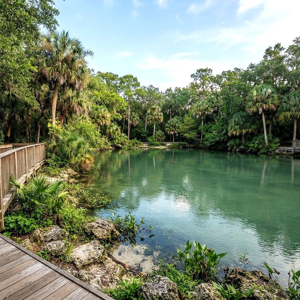 PORT CHARLOTTE 12 REP 01 - Land