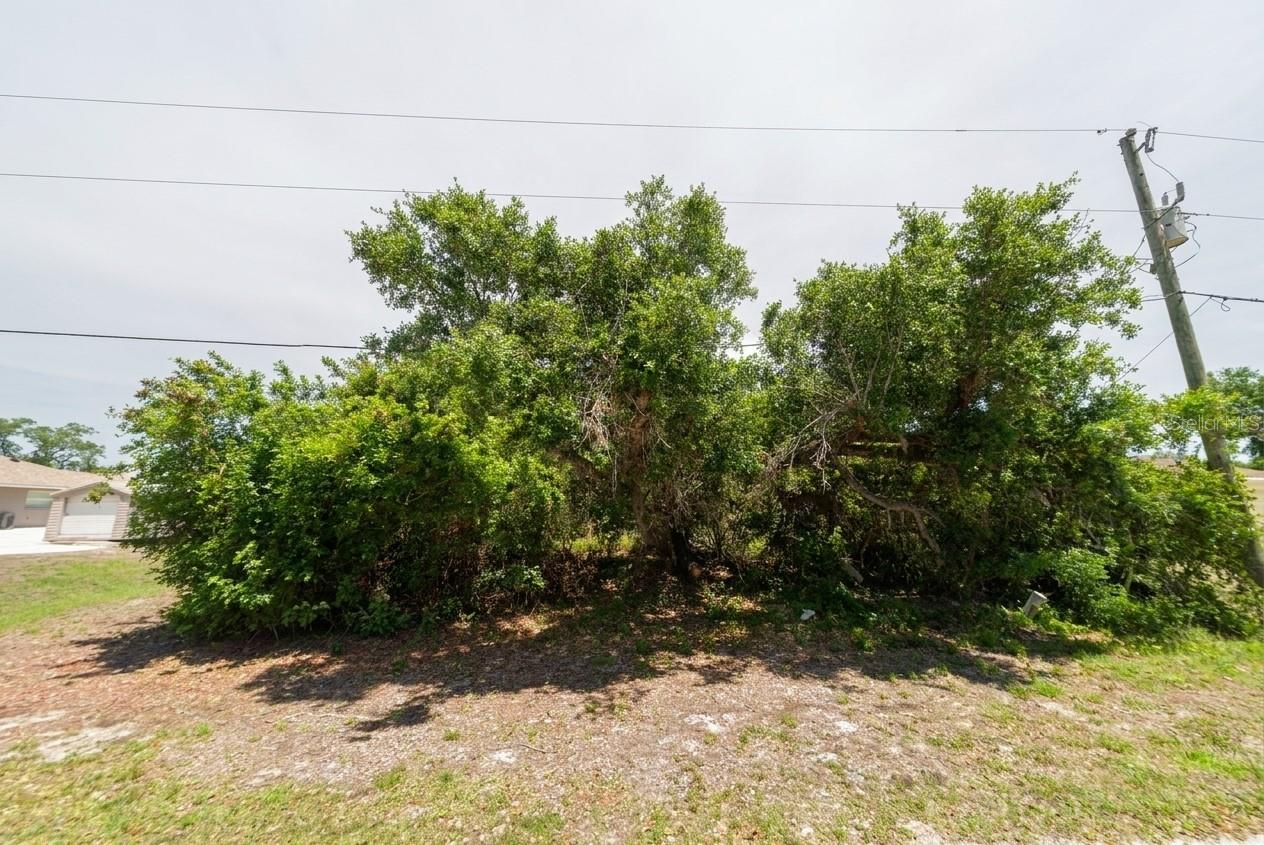 PORT CHARLOTTE 12 REP 01 - Land