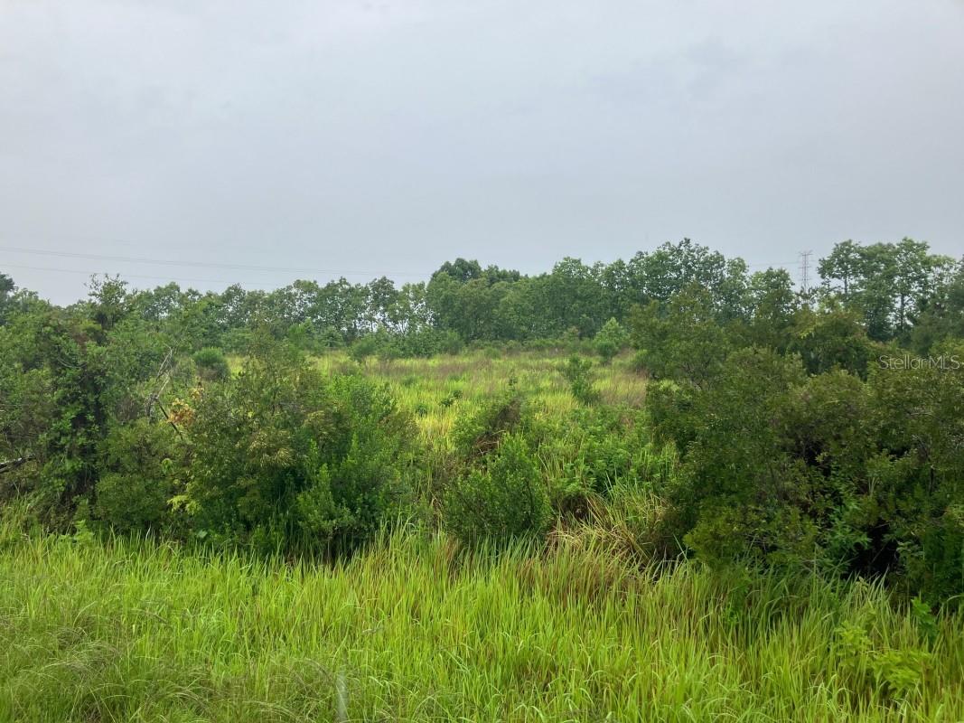 AVON PARK ESTATE - Land