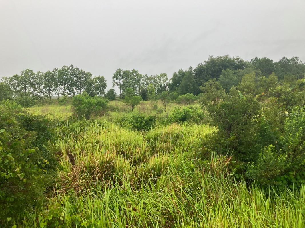 AVON PARK ESTATE - Land