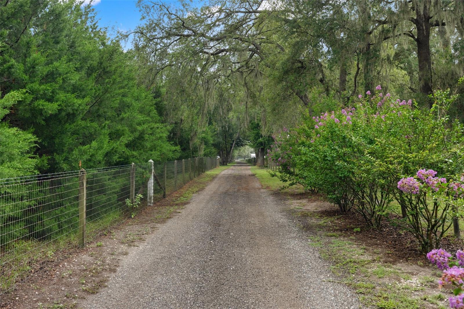 ACREAGE - Residential