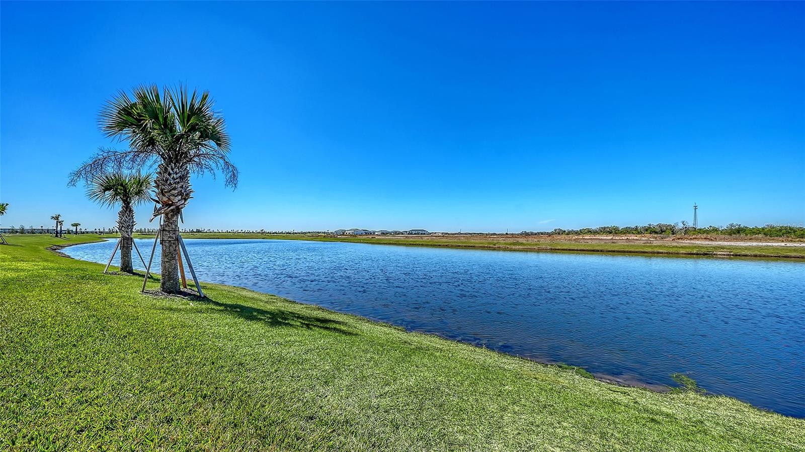PALM GROVE AT LAKEWOOD RANCH - Residential