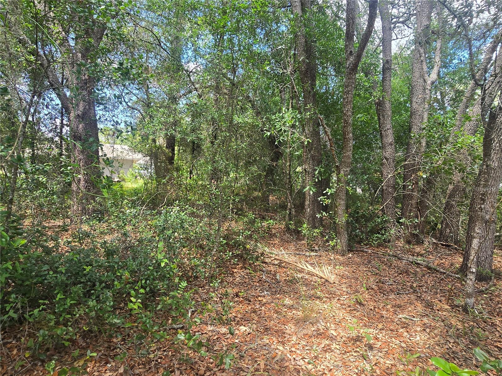 CITRUS SPGS UNIT 06 - Land