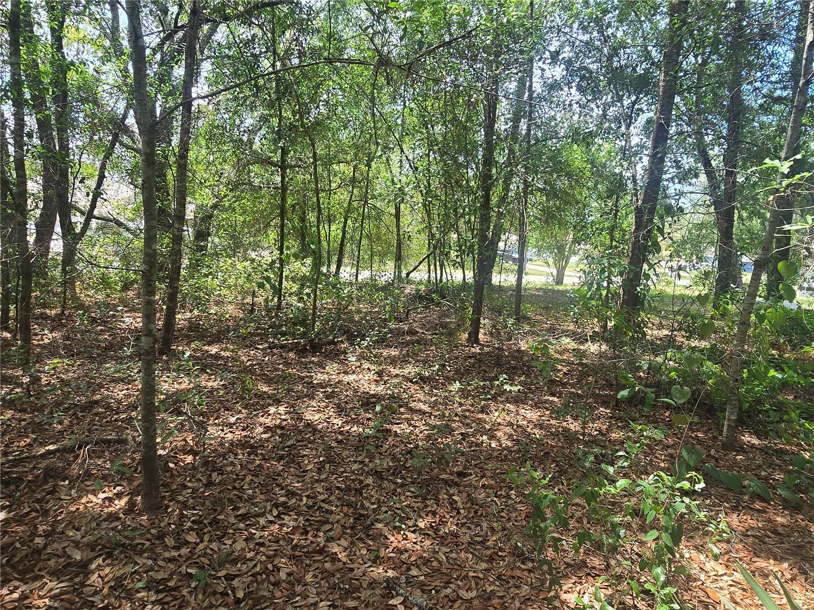 CITRUS SPGS UNIT 06 - Land