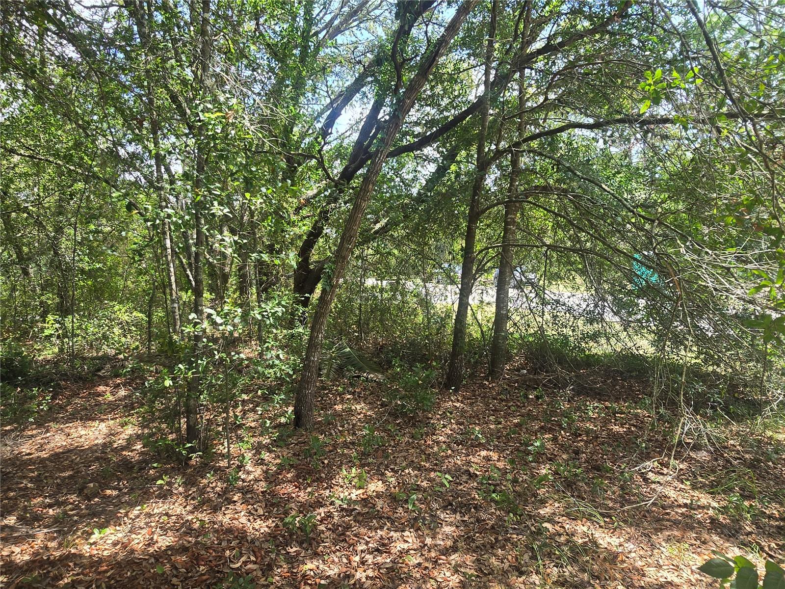 CITRUS SPGS UNIT 06 - Land