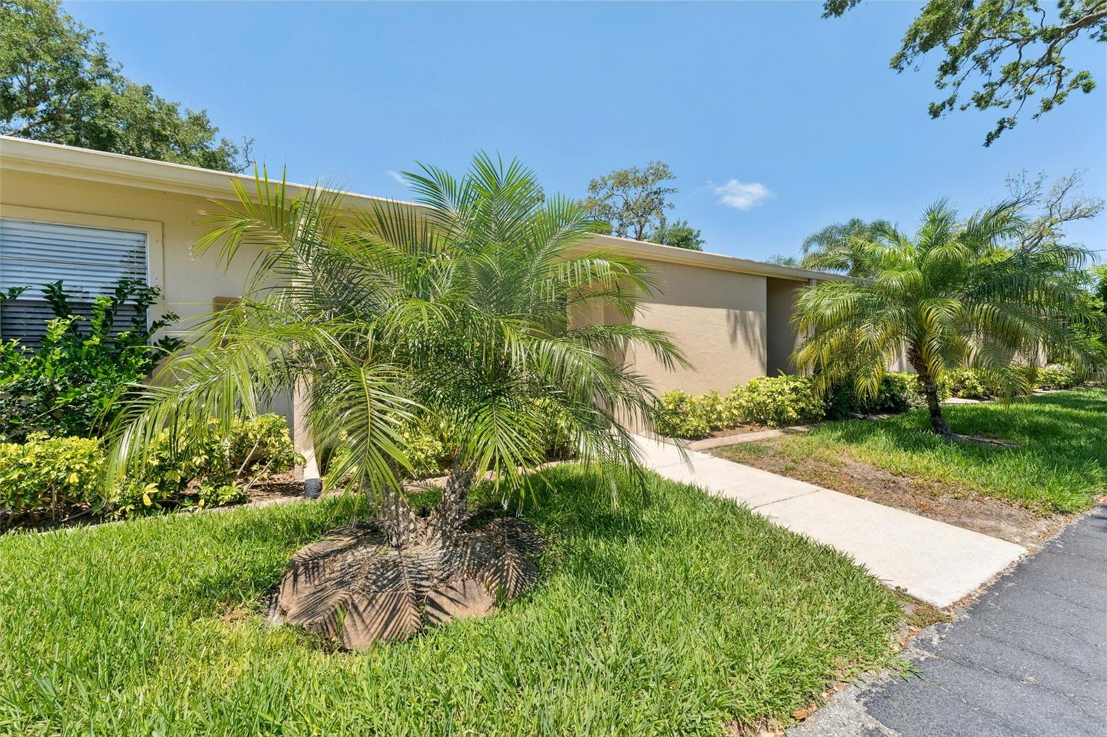 PINEWOOD VILLAGE VI - Residential