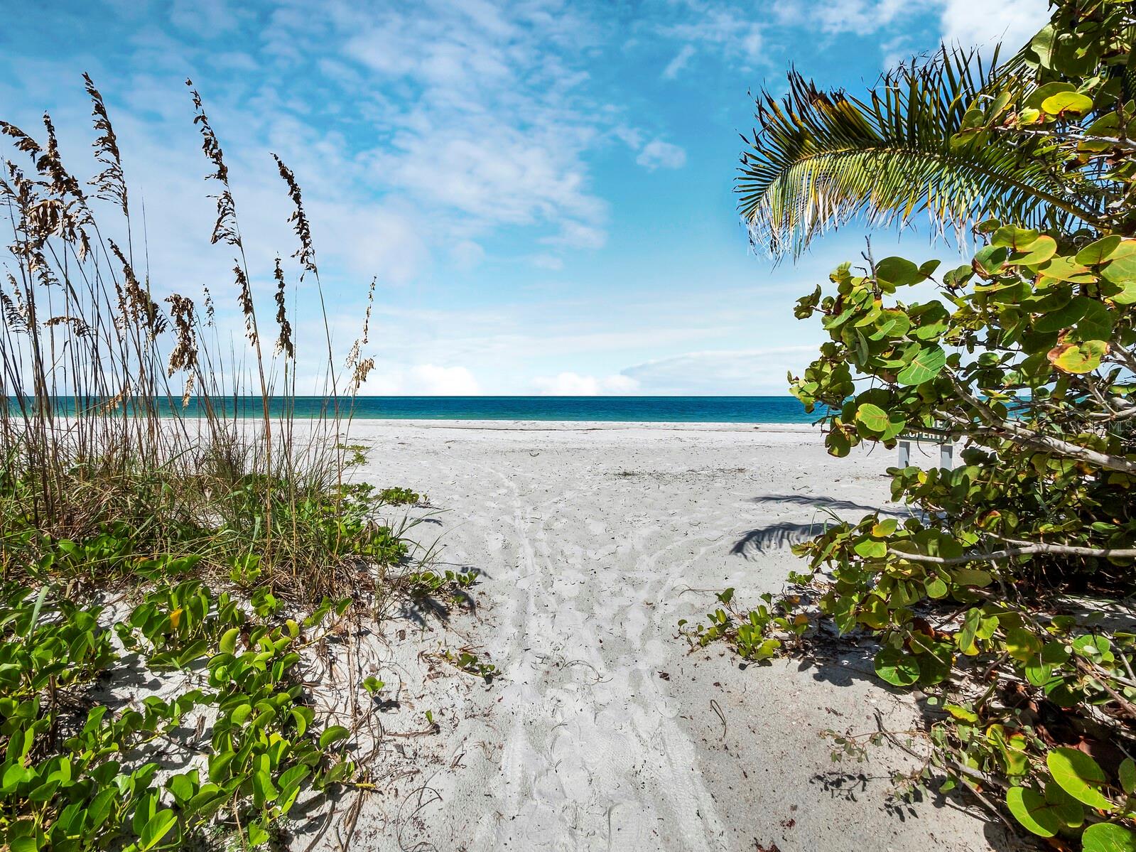 LIDO SHORES - Residential