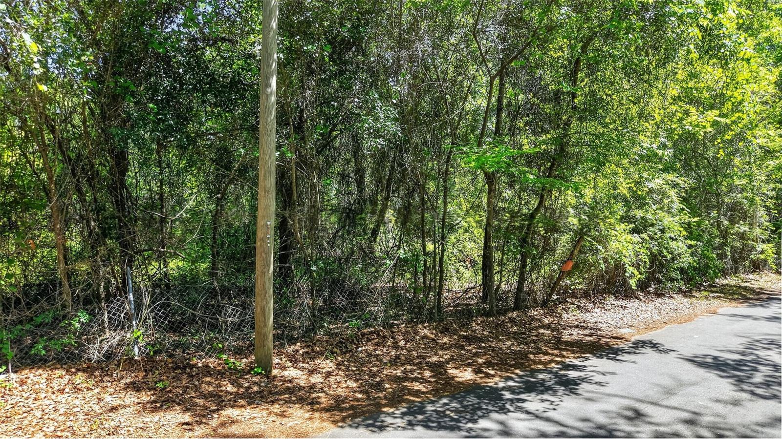 NEW GAINESVILLE - Land