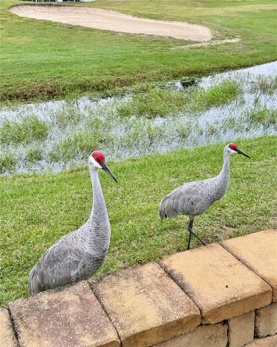 DEER CREEK GOLF & TENNIS RV RESORT PH 03-A - Land