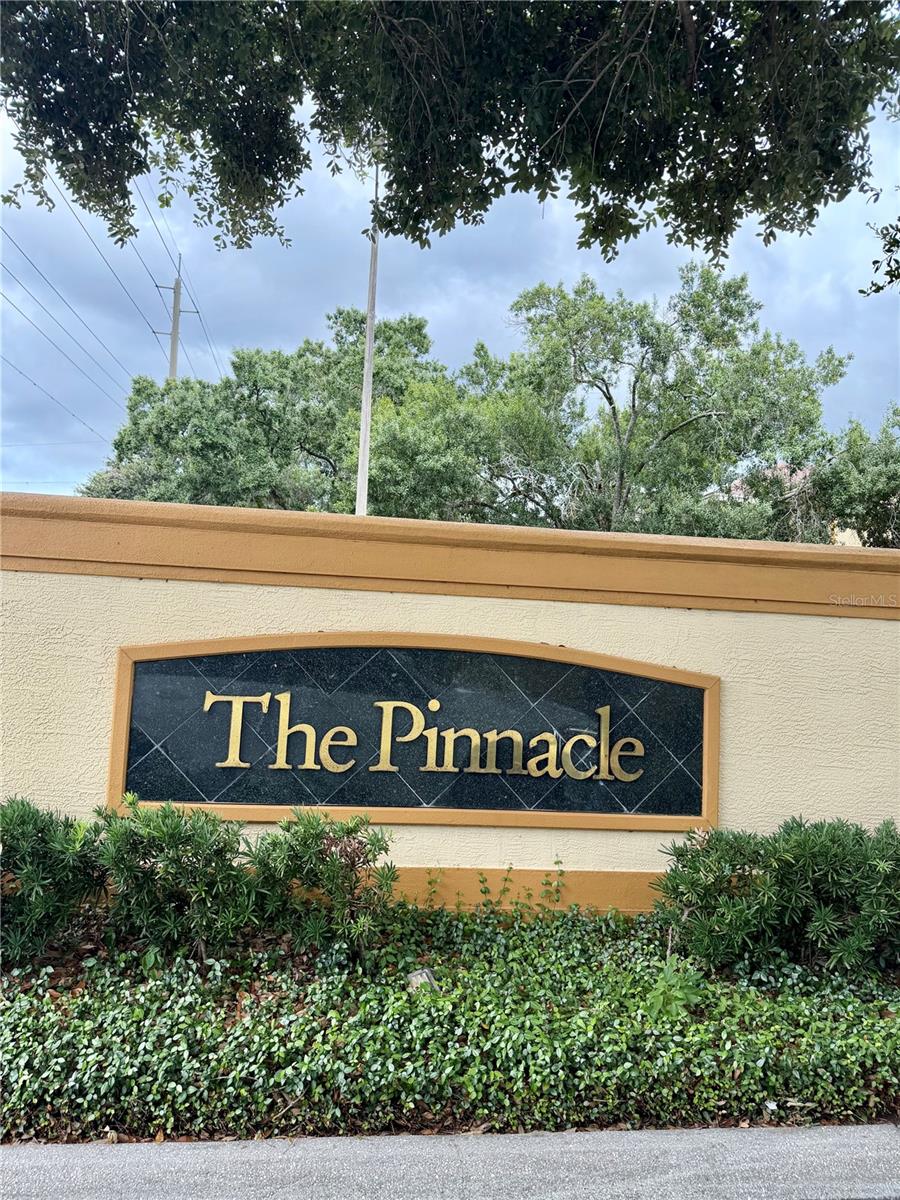 THE PINNACLE AT CARROLLWOOD A - Residential