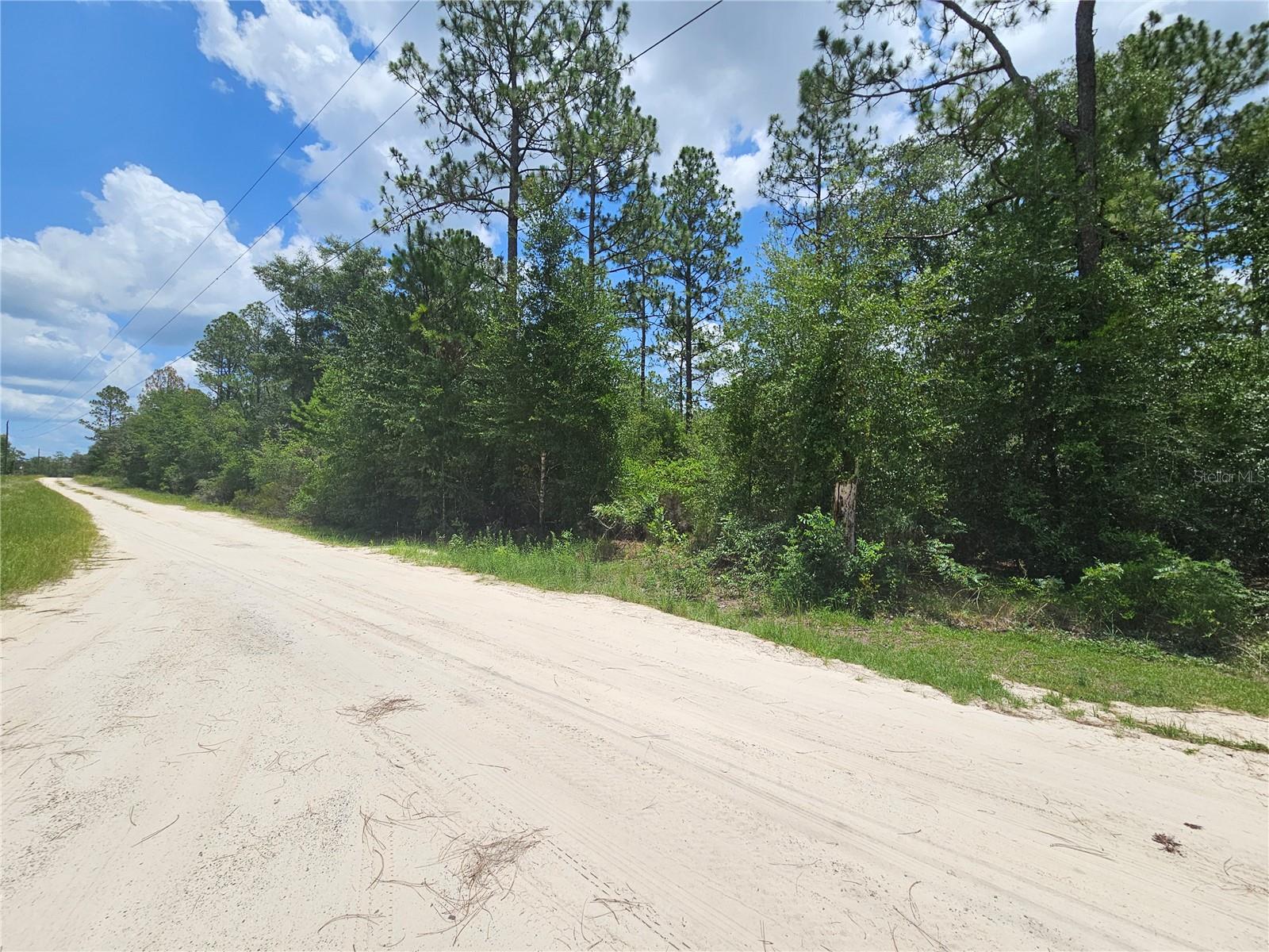 ALMOST 4 ACRES in THE FARMS at WILLISTON! Discover the perfect setting for your dream home on this beautiful 3.95 acre parcel in The Farms at Williston. Ideally located between Williston and Bronson, this wooded homesite offers the privacy, peace, and natural beauty that make country living so appealing while remaining just a short drive from shopping, schools, dining, and everyday conveniences. No HOA, no flood zones and no time limits to build.

Surrounded by a quiet community of custom site-built homes and spacious acreage, this property provides the ideal canvas to create the lifestyle you've been dreaming of. Whether you envision a modern farmhouse, a traditional country estate, or a private retreat tucked among the trees, you'll have plenty of room to design a home that complements the landscape. High speed internet available through Fiber by Central Florida.

Enjoy the freedom, space, and tranquility of rural living with nearly four acres to explore, all within an established neighborhood where quality homes and wide-open spaces create a welcoming atmosphere. If you're ready to escape the hustle and bustle without sacrificing convenience, this exceptional property is ready for your vision. Don't miss this opportunity to own a piece of North Central Florida's beautiful countryside.