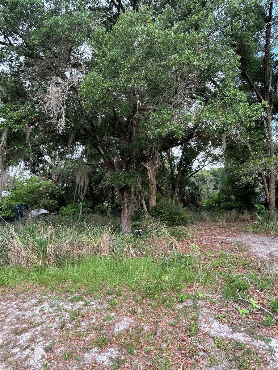 EUSTIS HOGANS SUB - Land