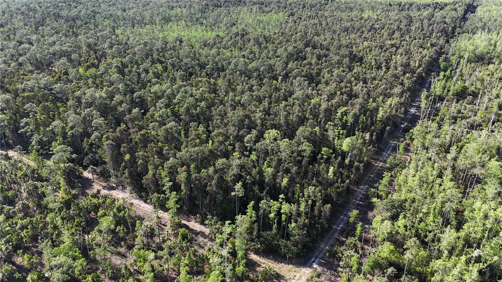Located in Naples within Collier County, this 5-acre parcel offers a versatile opportunity for recreational use, investment, or future land ownership in a growing area of Southwest Florida. The property consists of natural habitat that supports local wildlife, making it suitable for outdoor activities such as hunting, camping, and general recreation.



The tract provides a manageable acreage size for buyers seeking a private setting without the maintenance demands of a larger parcel. The landscape features native vegetation typical of the region, offering cover for wildlife and a natural environment for those looking to enjoy time outdoors. Whether used seasonally or for weekend trips, the property supports a variety of recreational uses based on buyer preference and applicable regulations.



This parcel may appeal to buyers interested in land as a long-term investment. As development continues to expand in Collier County, properties of this size can offer flexibility for future planning. Buyers are encouraged to perform their own due diligence regarding zoning, permitted uses, and environmental considerations.



An additional 15-acre parcel is available directly adjoining this property, creating the option to expand ownership to a total of 20 acres. This provides added flexibility for those seeking a larger footprint for recreation or investment purposes.



The property’s location in Naples places it within reasonable driving distance of established amenities, including shopping, dining, and outdoor recreation opportunities. The area is known for its access to golf courses, public lands, and natural preserves, offering a range of activities beyond the property itself.



Access details, utility availability, and land use options should be verified by the buyer. This parcel presents a straightforward opportunity for those seeking land in Collier County with potential for recreational enjoyment and long-term ownership.