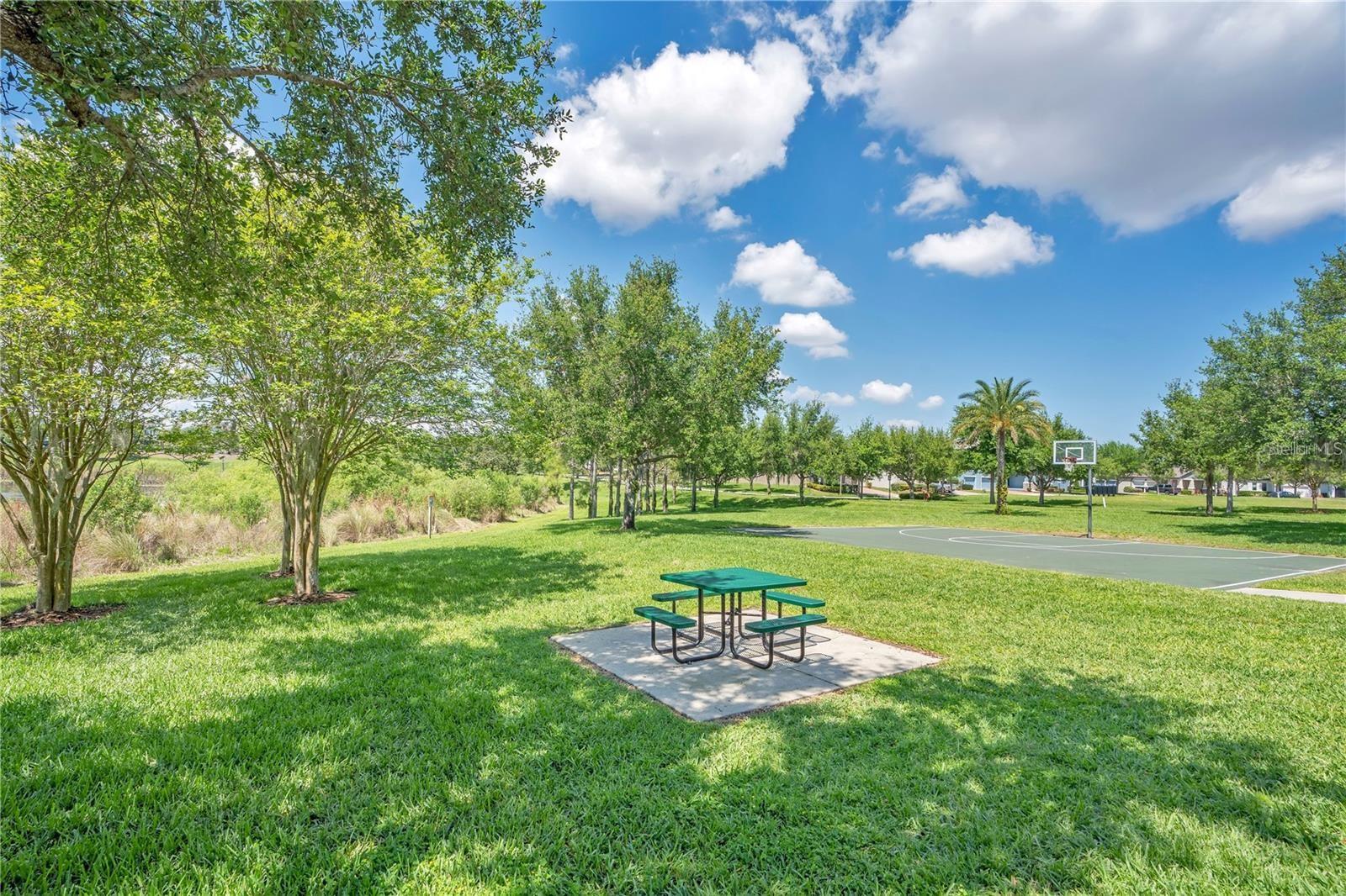 SUMMERLAKE - Residential