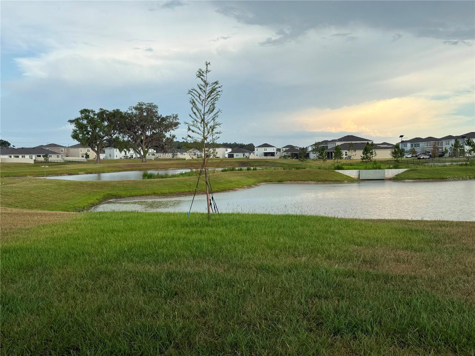 MIRADA - Residential Lease