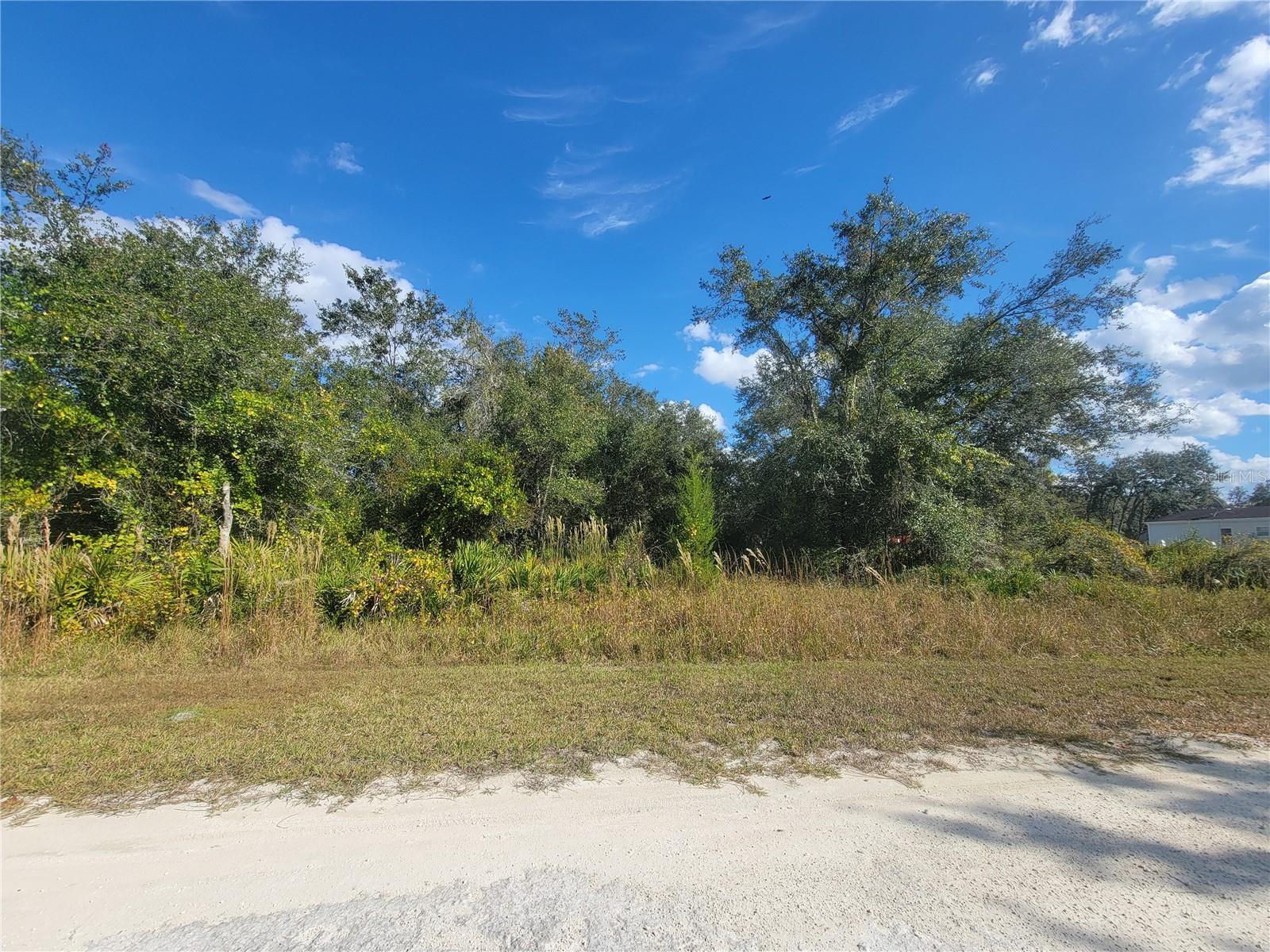This charming .24 acre lot is the perfect opportunity to build your dream home in a desirable location. Nestled in a quiet neighborhood, this property offers a peaceful retreat while still being conveniently located near amenities and main roads. With a manageable size, this lot is easy to maintain and provides a cozy setting for a custom-built home, manufactured home, or tiny house. No HOA or deed restrictions and no time limit to build. Quick access to US 301 and located 15 minutes of over 100,000 acres of state recreational lands offering hunting, camping, hiking and fishing. Don't miss out on this fantastic opportunity to own a piece of land where you can bring your vision to life.