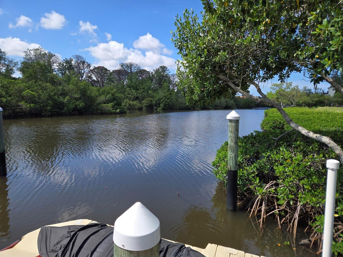 SEASCAPE CONDO OF TARPON SPGS - Residential