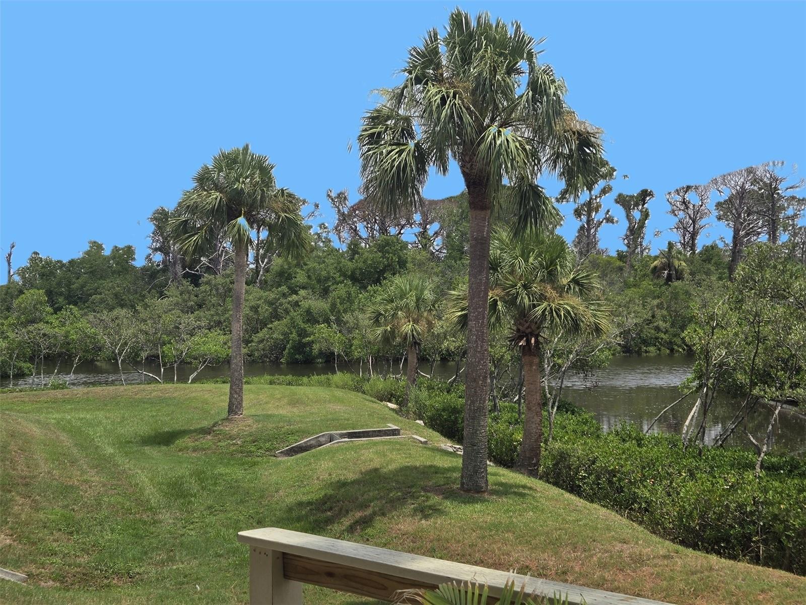 SEASCAPE CONDO OF TARPON SPGS - Residential