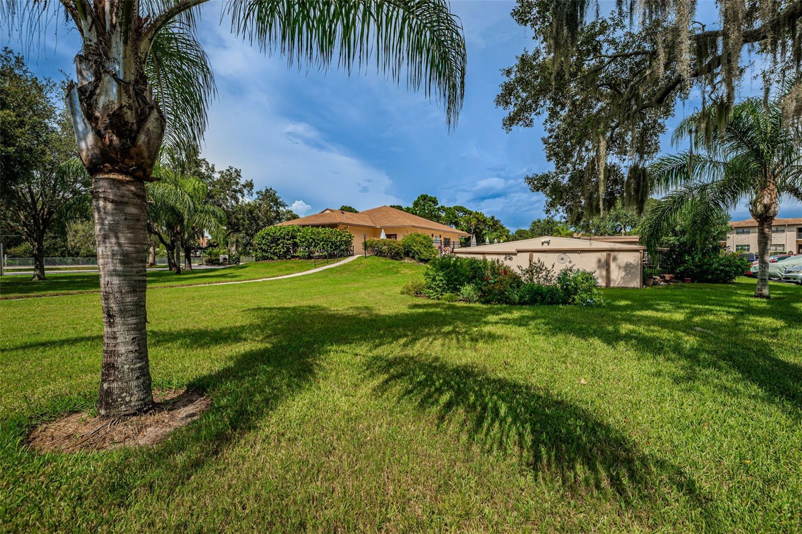 SEASCAPE CONDO OF TARPON SPGS - Residential