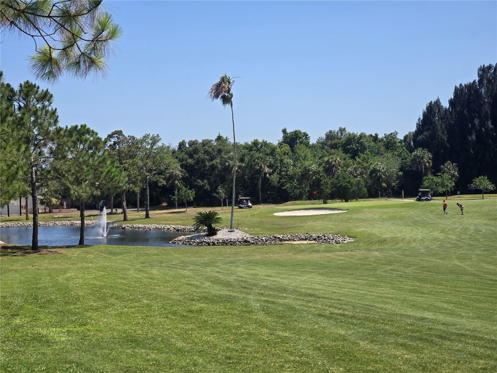 SEASCAPE CONDO OF TARPON SPGS - Residential