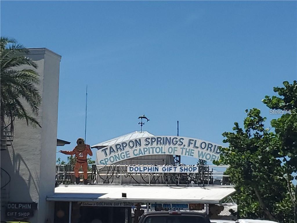 SEASCAPE CONDO OF TARPON SPGS - Residential