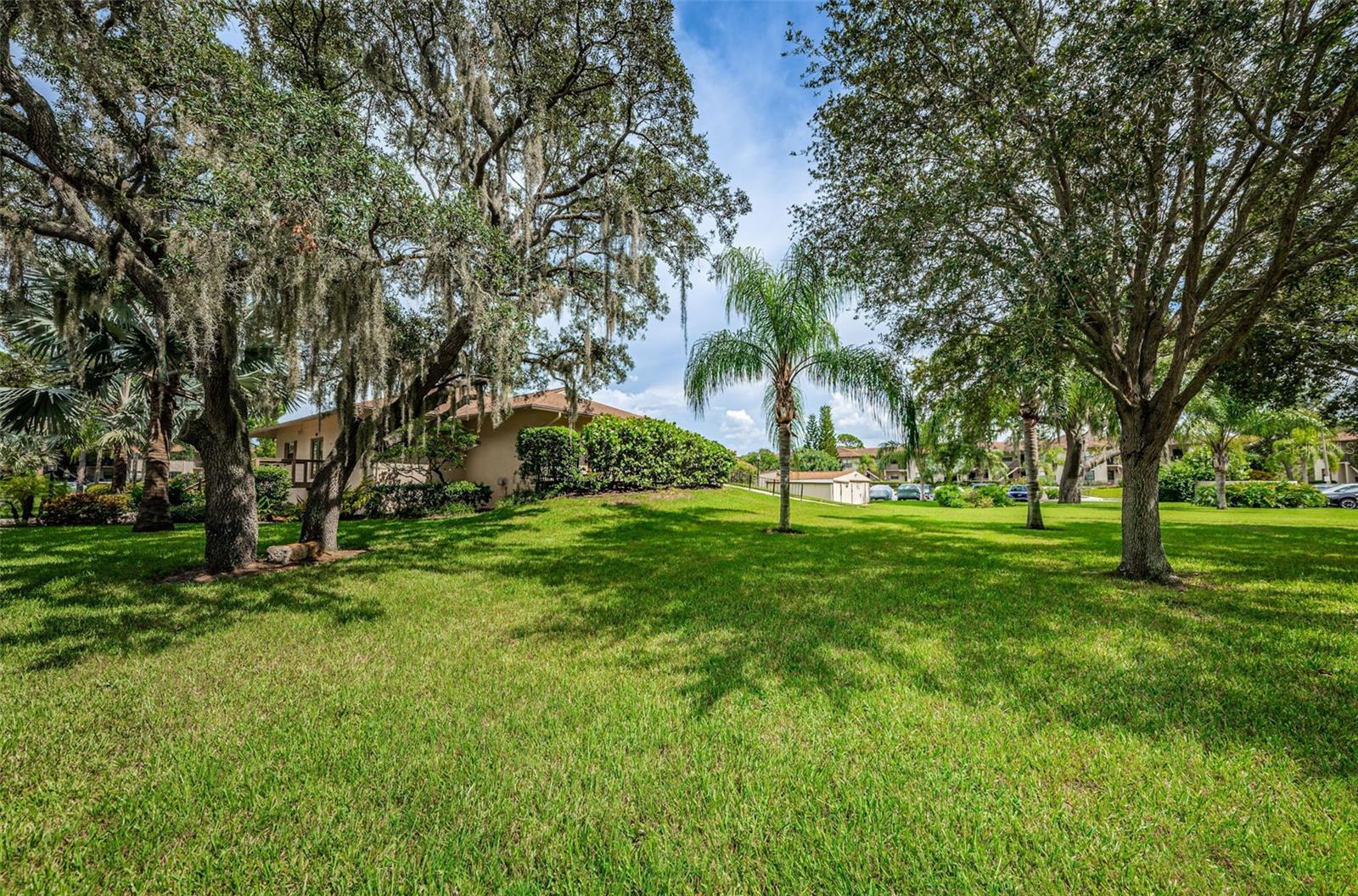 SEASCAPE CONDO OF TARPON SPGS - Residential