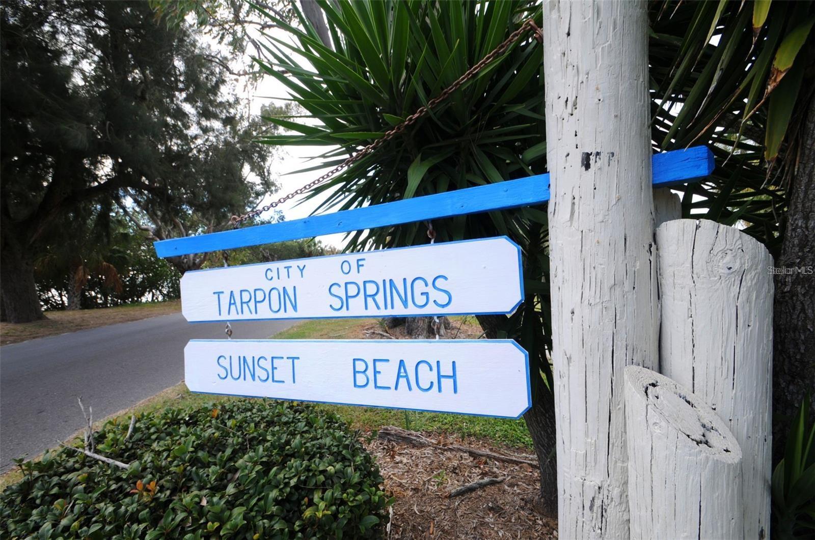 SEASCAPE CONDO OF TARPON SPGS - Residential