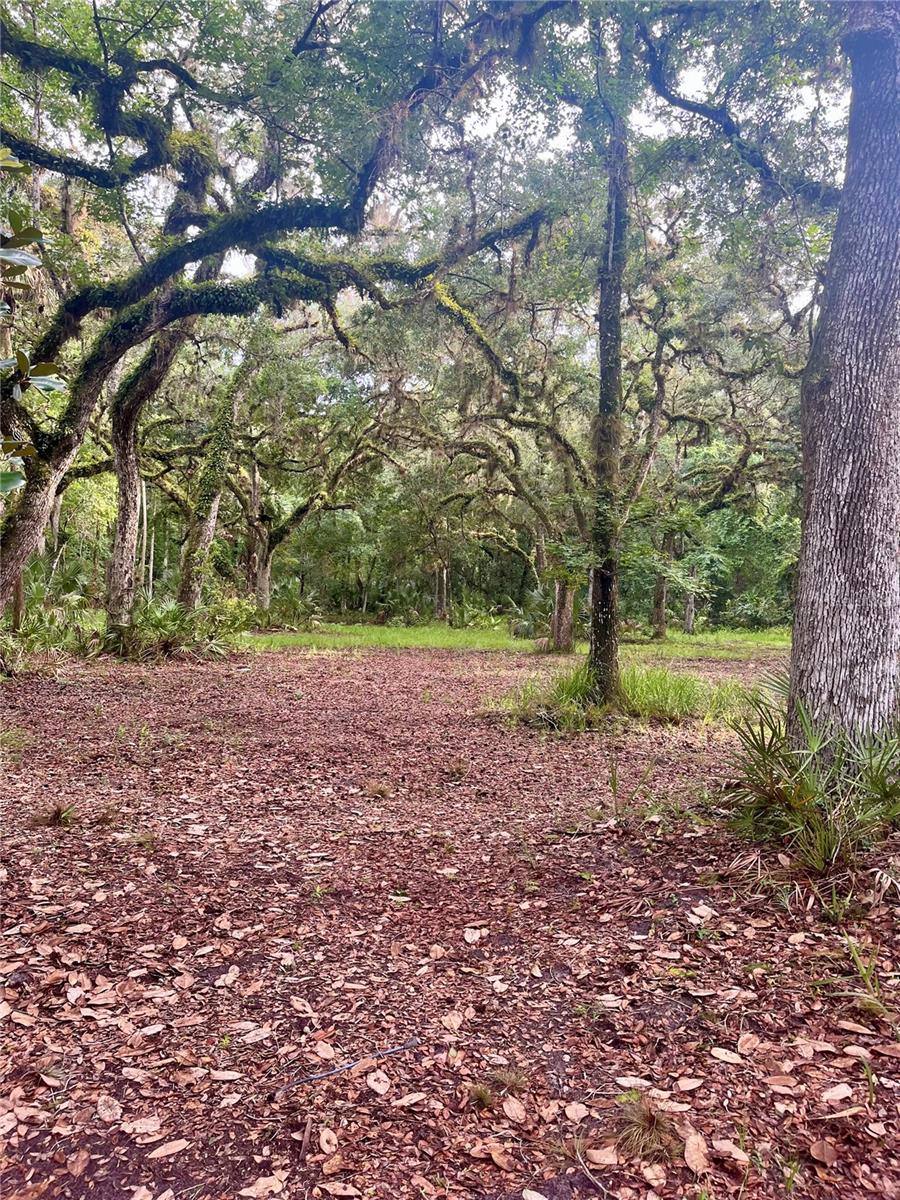 CURRYVILLE ESTATES 5 ACRE DEV 20 PARCELS - Residential