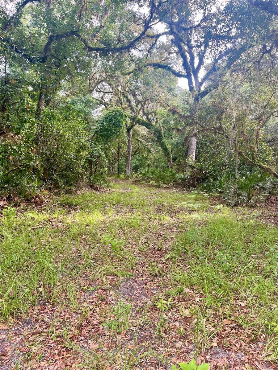 CURRYVILLE ESTATES 5 ACRE DEV 20 PARCELS - Residential