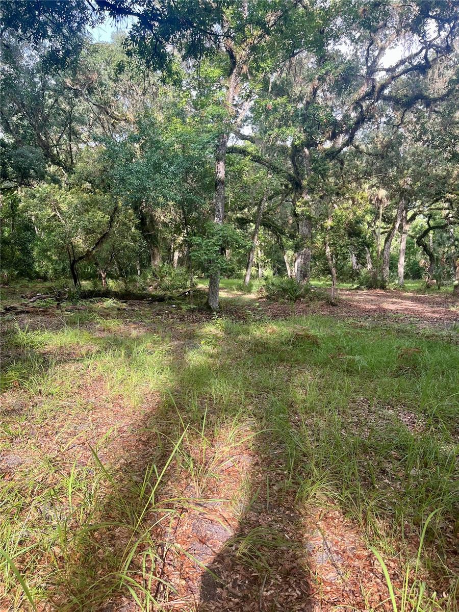 CURRYVILLE ESTATES 5 ACRE DEV 20 PARCELS - Residential