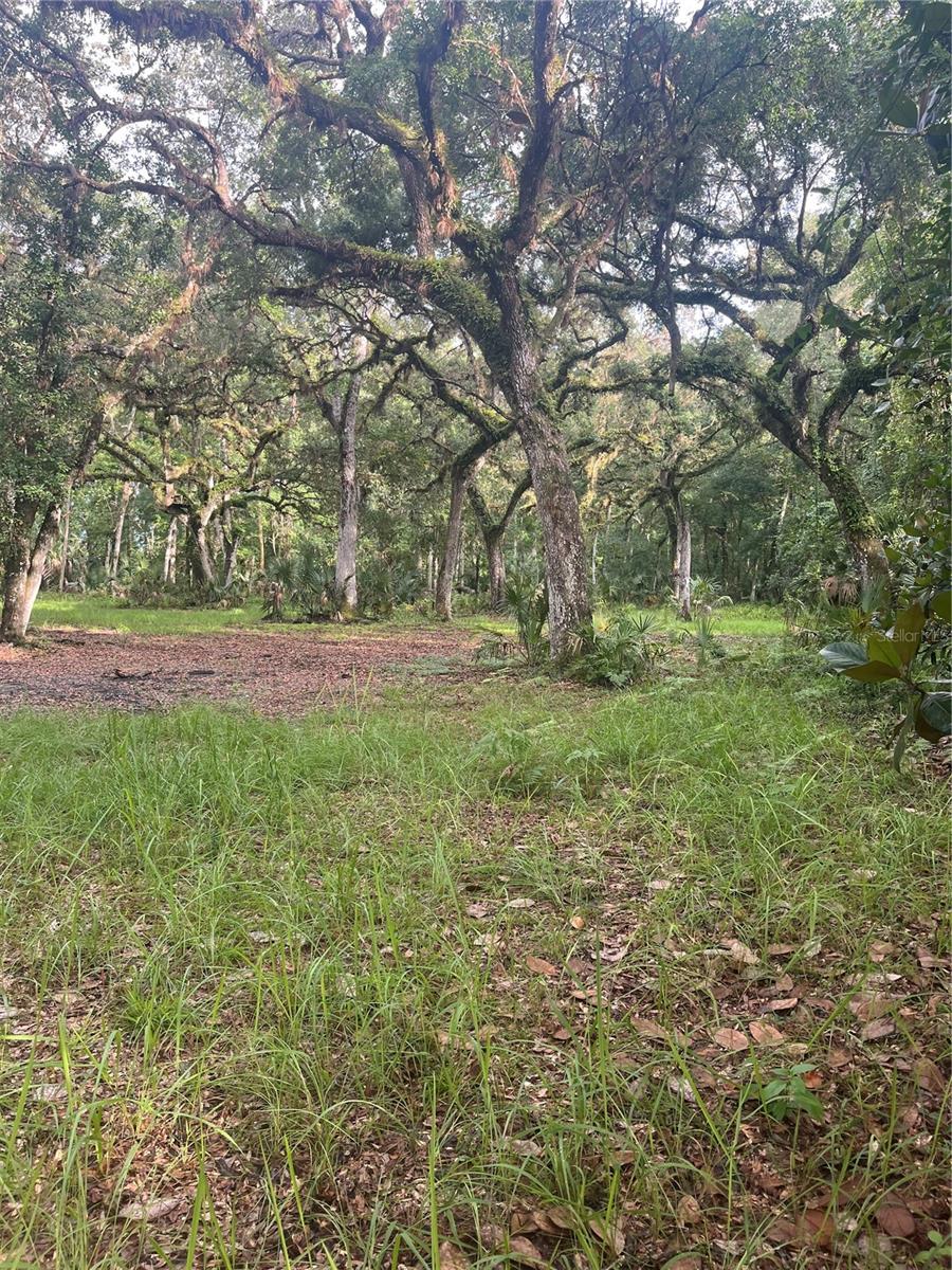 CURRYVILLE ESTATES 5 ACRE DEV 20 PARCELS - Residential