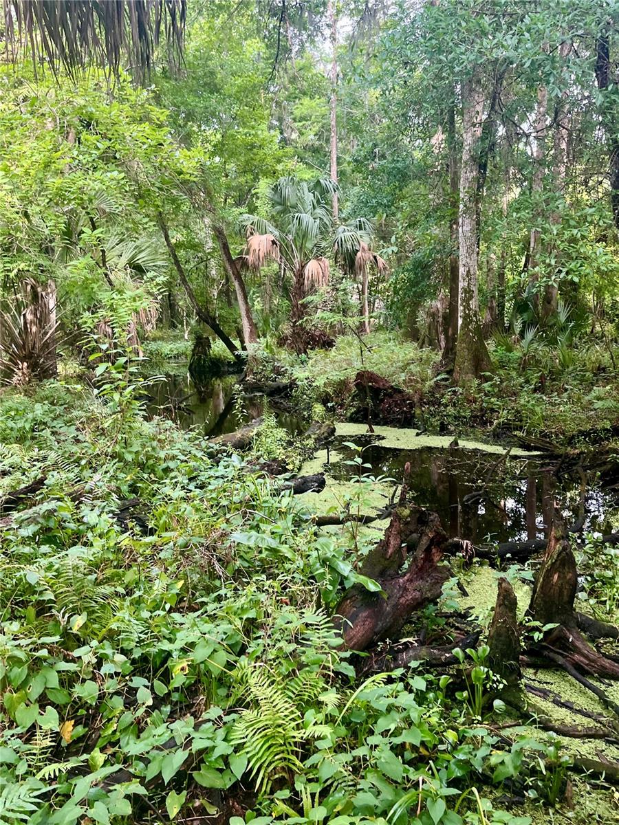 CURRYVILLE ESTATES 5 ACRE DEV 20 PARCELS - Residential