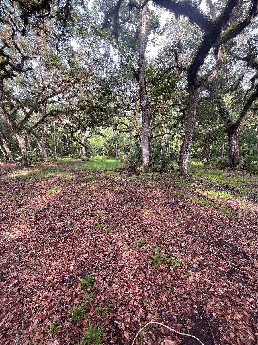 CURRYVILLE ESTATES 5 ACRE DEV 20 PARCELS - Residential