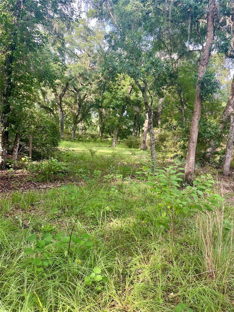 CURRYVILLE ESTATES 5 ACRE DEV 20 PARCELS - Residential