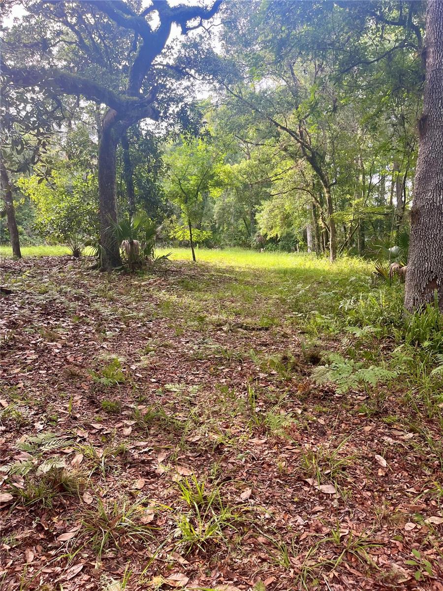 CURRYVILLE ESTATES 5 ACRE DEV 20 PARCELS - Residential