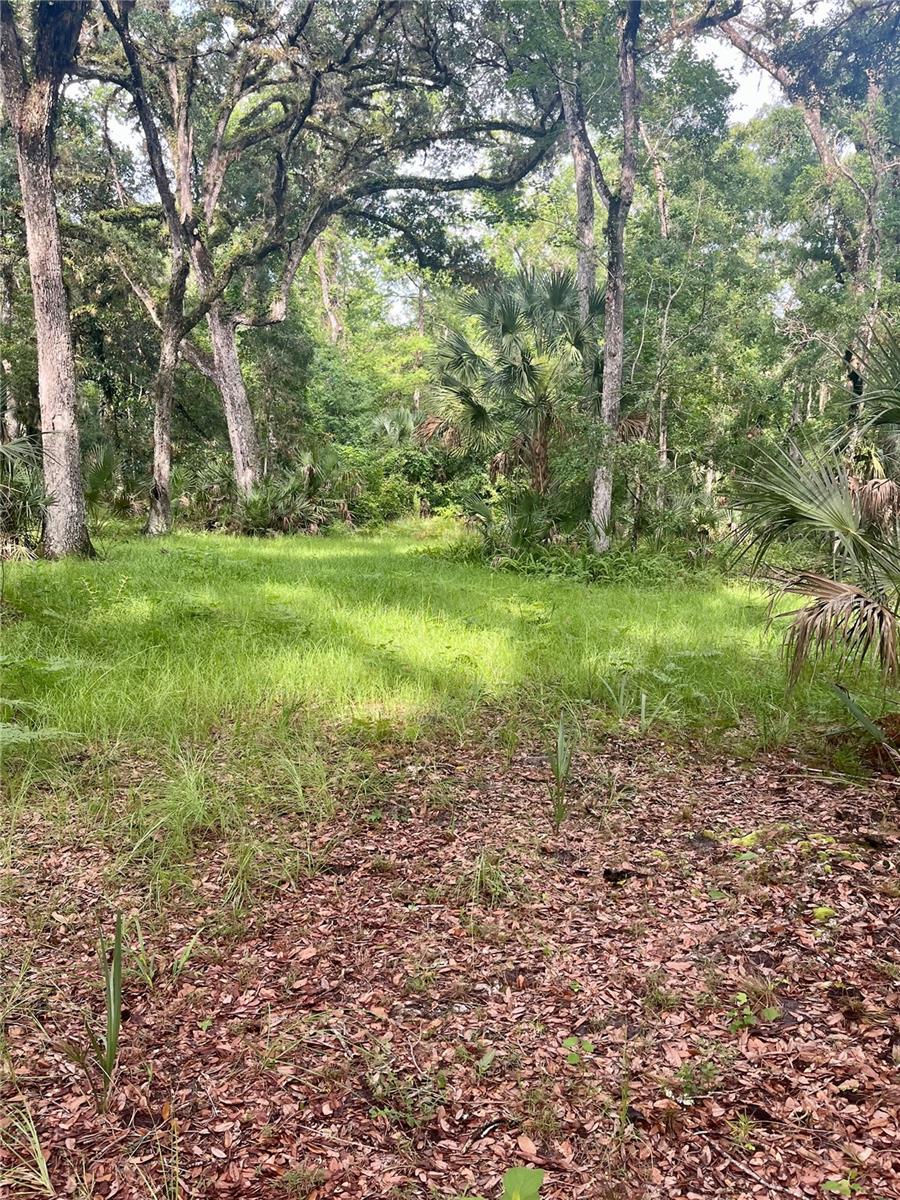 CURRYVILLE ESTATES 5 ACRE DEV 20 PARCELS - Residential